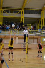DSC 0127.JPG