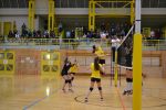 DSC 0219.JPG