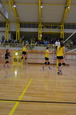 DSC 0340.JPG
