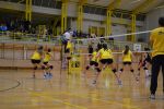 DSC 0306.JPG