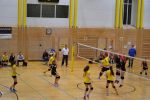 DSC 0447.JPG