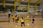 DSC 0115.JPG
