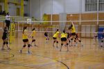 DSC 0274.JPG