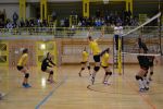 DSC 0321.JPG