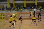 DSC 0174.JPG